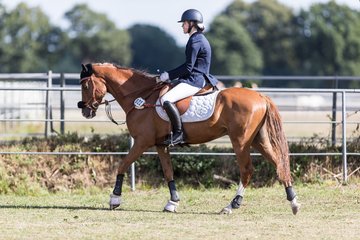 Bild 4 - Pony Akademie Turnier